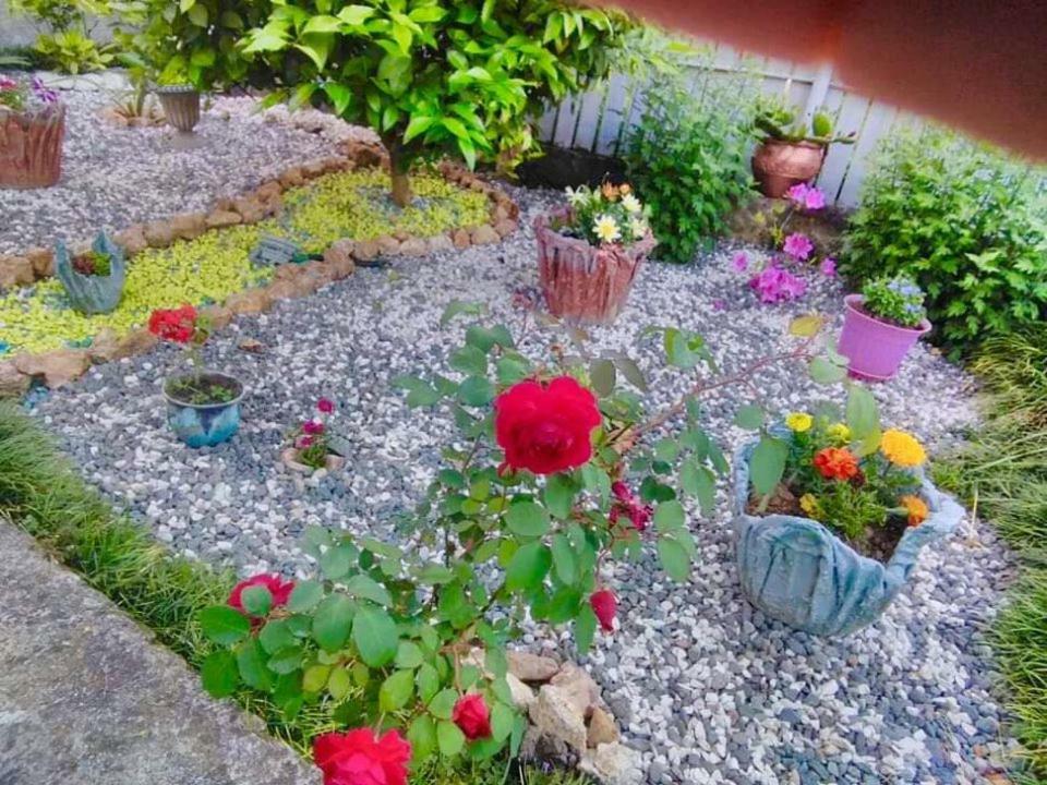 Sisi Guest House Kutaisi Luaran gambar